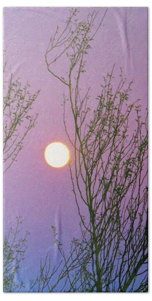 Taurus Bath Towel featuring the photograph Taurus Full Moon in Creosote by Judy Kennedy