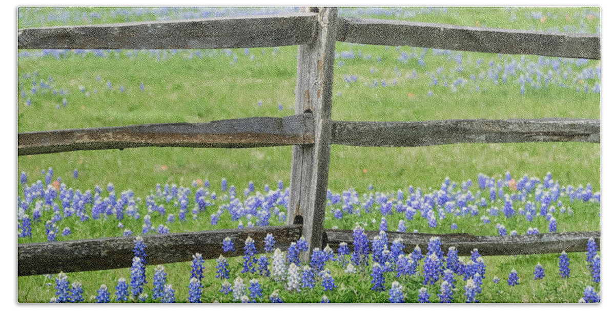 Ennis Bath Towel featuring the photograph Texas Bluebonnets Along Fence Line by Robert Bellomy