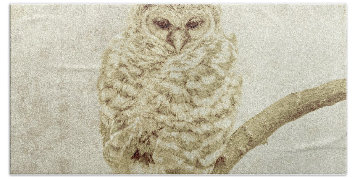 Textured Owl Wildlife Image Bath Towel featuring the photograph Textured Owl Wildlife Image by Dan Sproul