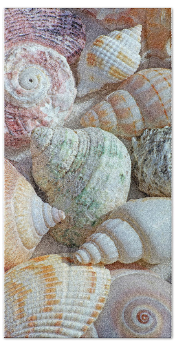 Seashells Bath Towel featuring the photograph The Art of Their Presence by Kathi Mirto