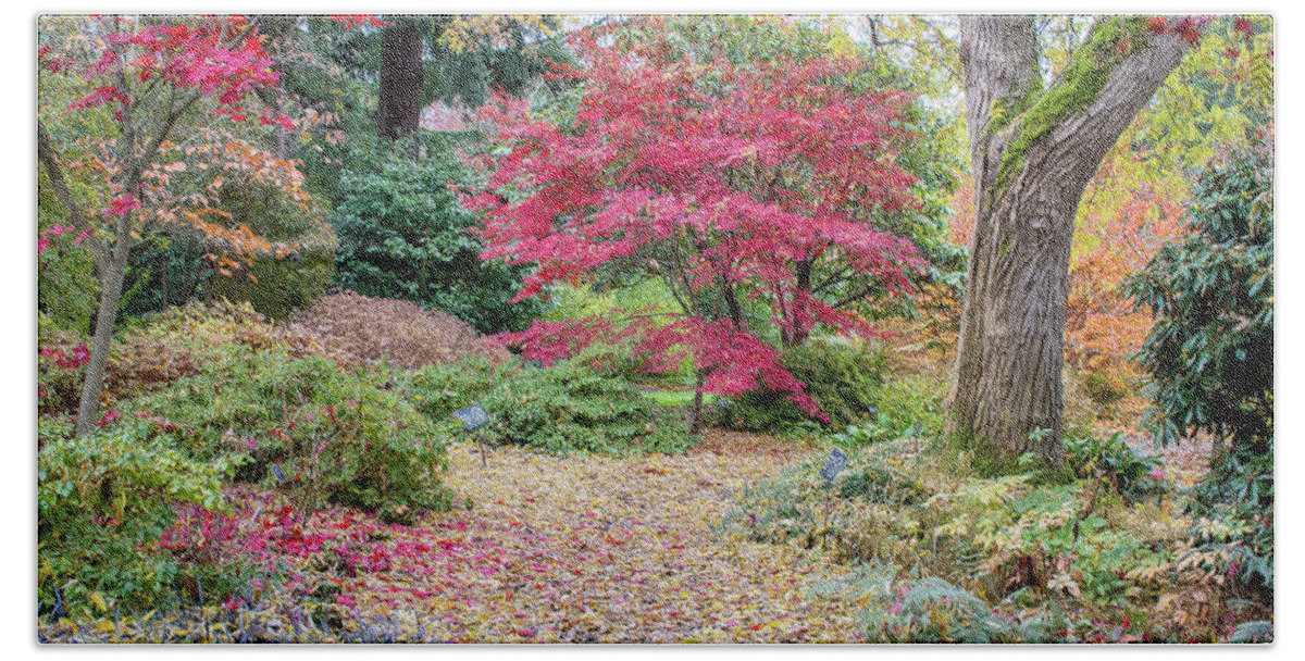 Autumn Bath Towel featuring the photograph The Autumn Path by Joan Septembre