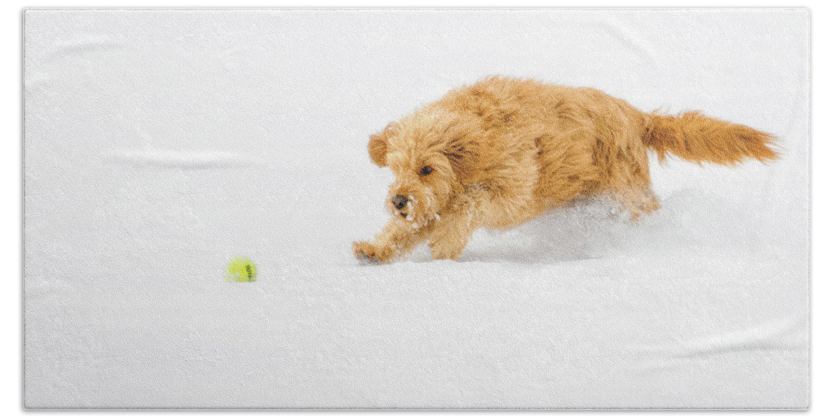 Mini Golden Doodle Bath Towel featuring the photograph The Ball of the Wild by Dee Potter