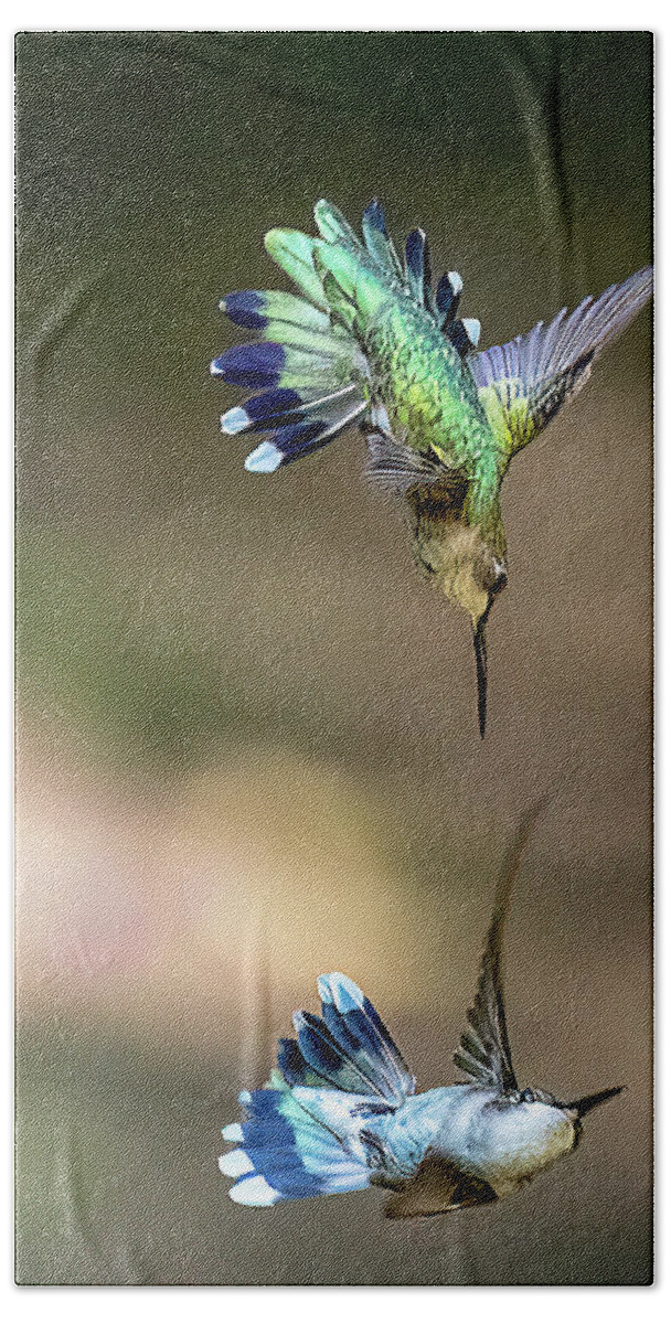 Hummingbirds Bath Towel featuring the photograph The Battle by Norman Peay