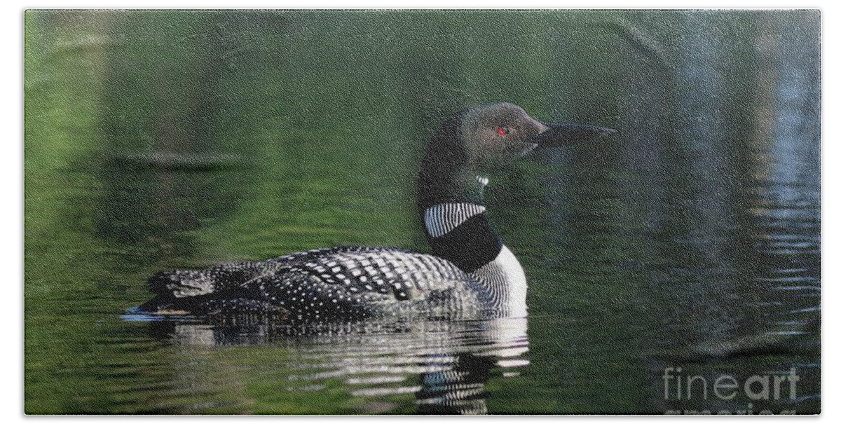 Common Loon Bath Towel featuring the photograph The Beauty of a Maine Loon by Sandra Huston