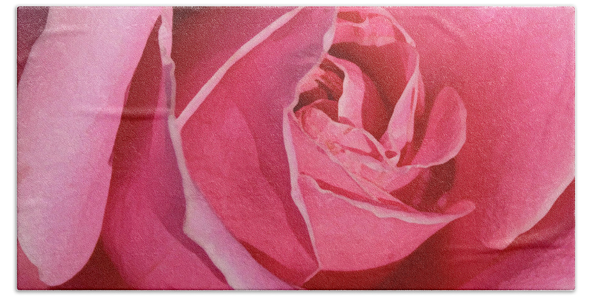 Rose; Roses; Flowers; Flower; Floral; Flora; Pink; Pink Rose; Pink Flowers; Digital Art; Photography; Painting; Simple; Decorative; Décor; Macro; Close-up Hand Towel featuring the photograph The Beauty of the Rose by Tina Uihlein