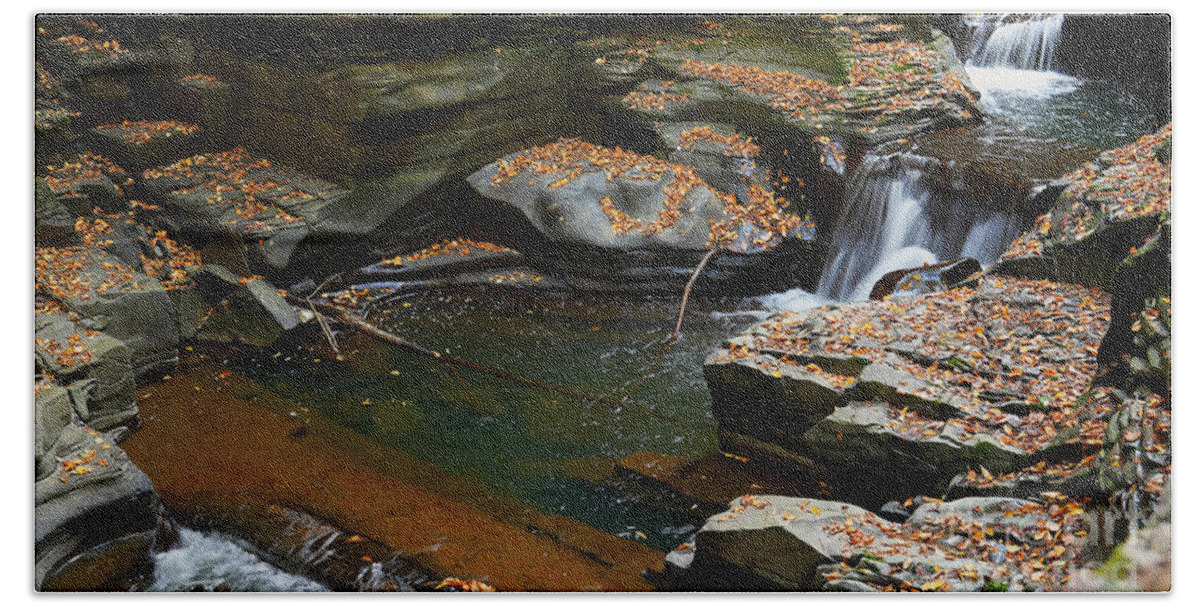 Watkins Glen State Park Sp Bath Towel featuring the photograph The Beauty of the WGSP Ponds by fototaker Tony