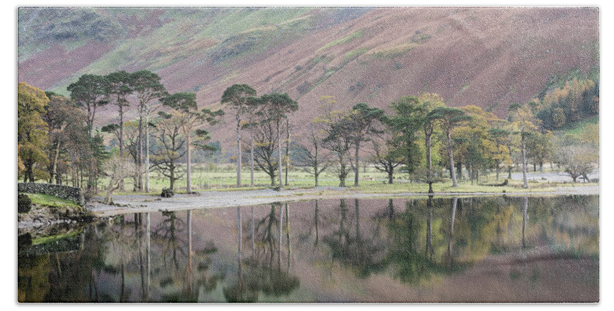 Cumbria Hand Towel featuring the photograph The Buttermere Pines, Lake District, England, UK by Sarah Howard