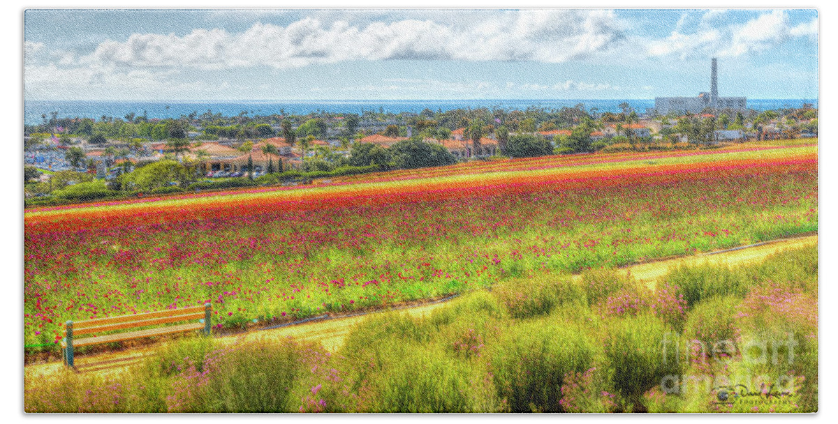 California Hand Towel featuring the photograph The Carlsbad Flower Fields by David Levin