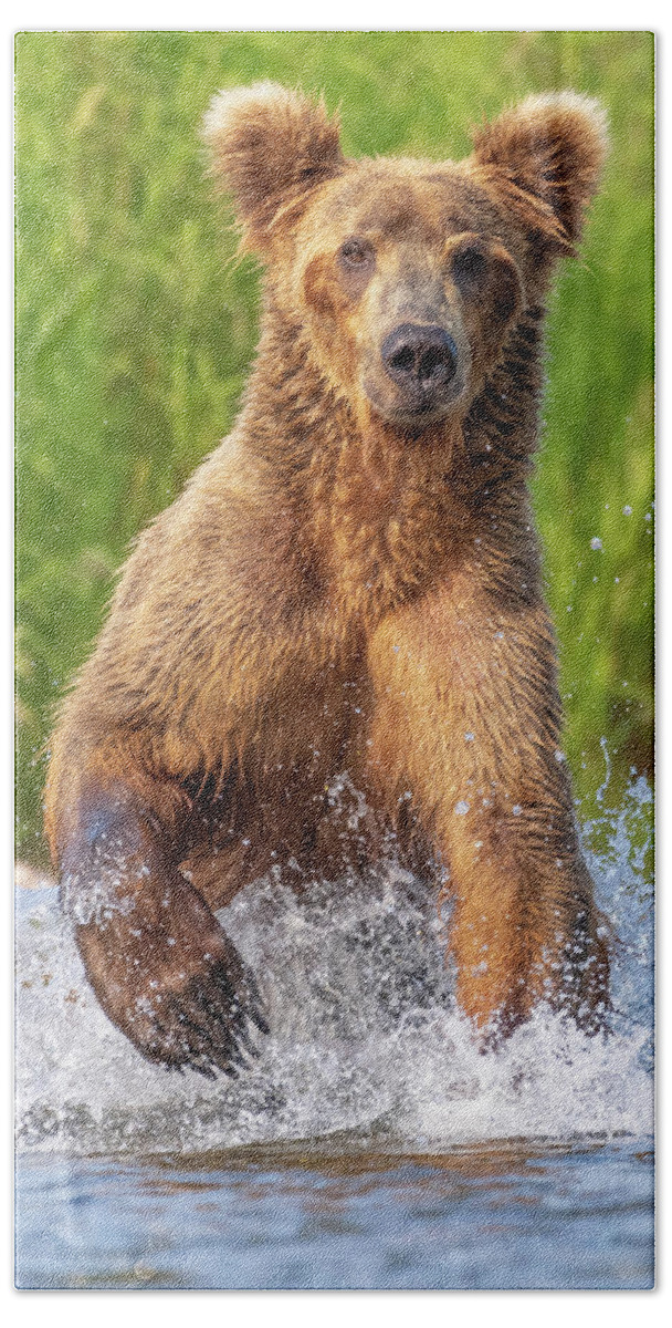 Alaska Bath Sheet featuring the photograph The Chase by Chad Dutson