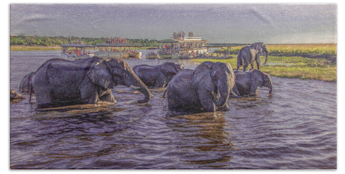 Chobe National Park Hand Towel featuring the photograph The Crossing by Marcy Wielfaert