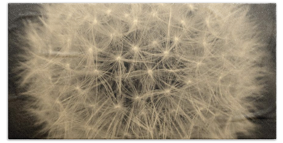 Dandelions Hand Towel featuring the photograph The Dandelion Galaxy by Jimmy Chuck Smith