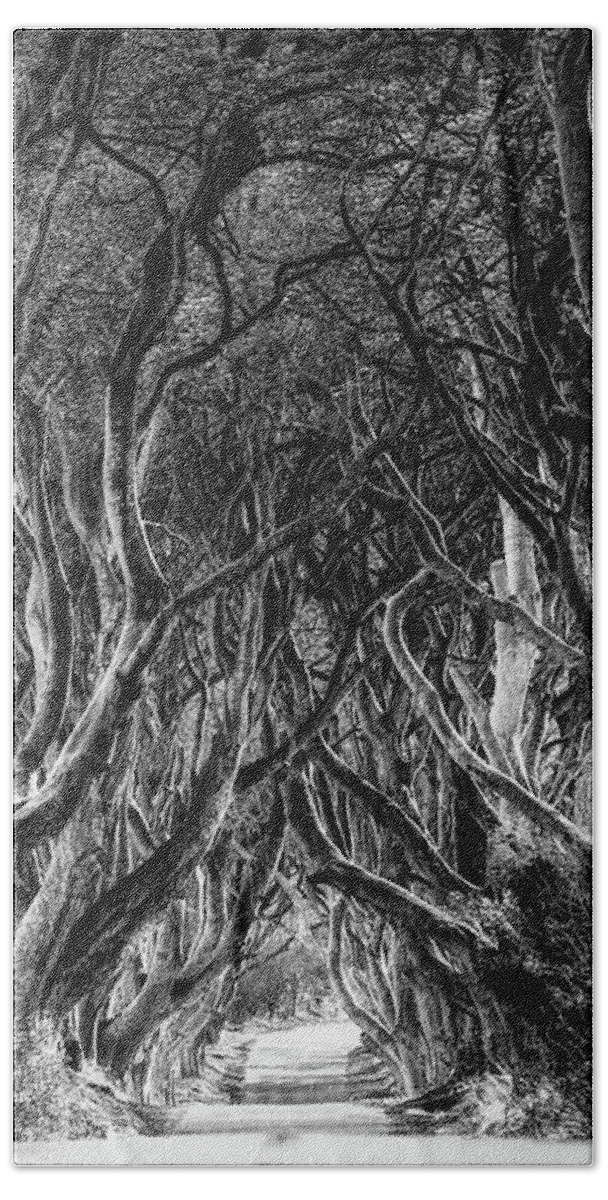 Ireland Hand Towel featuring the photograph The Dark Hedges by Phil Perkins