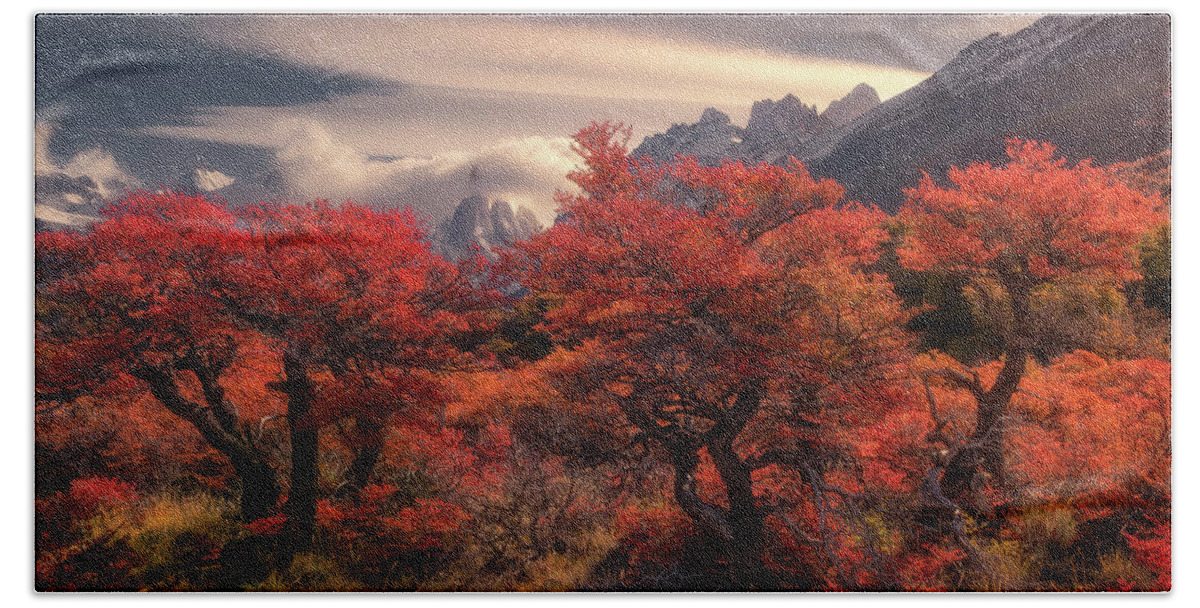 Fall Hand Towel featuring the photograph The Fall colors in Patagonia by Henry w Liu