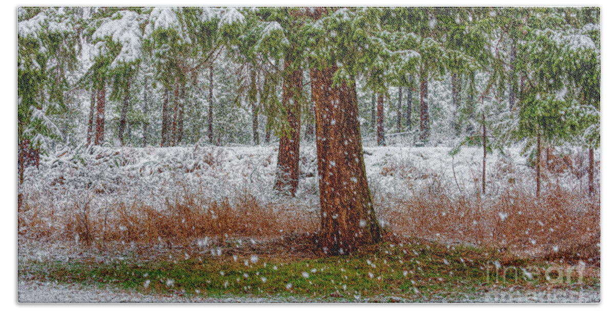 Landscape Hand Towel featuring the photograph The First Snow by Pamela Dunn-Parrish
