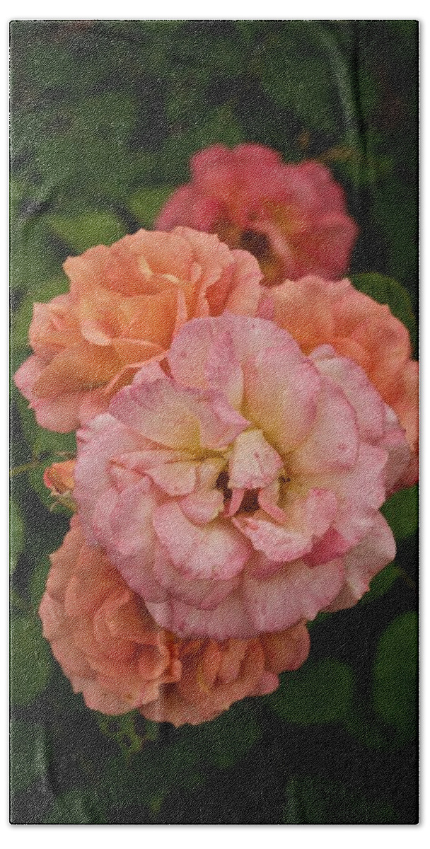 Roses Bath Towel featuring the photograph The Five Roses Greeting Card by Richard Cummings