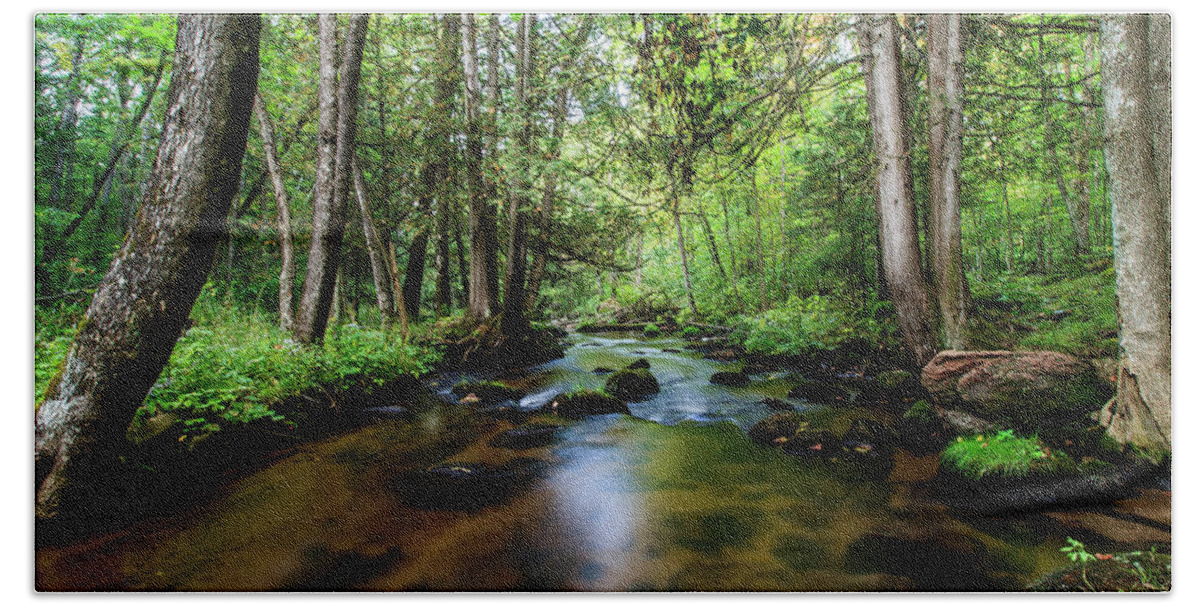 Stream Hand Towel featuring the photograph The Flume Creek a Pleasant Place by Neal Nealis