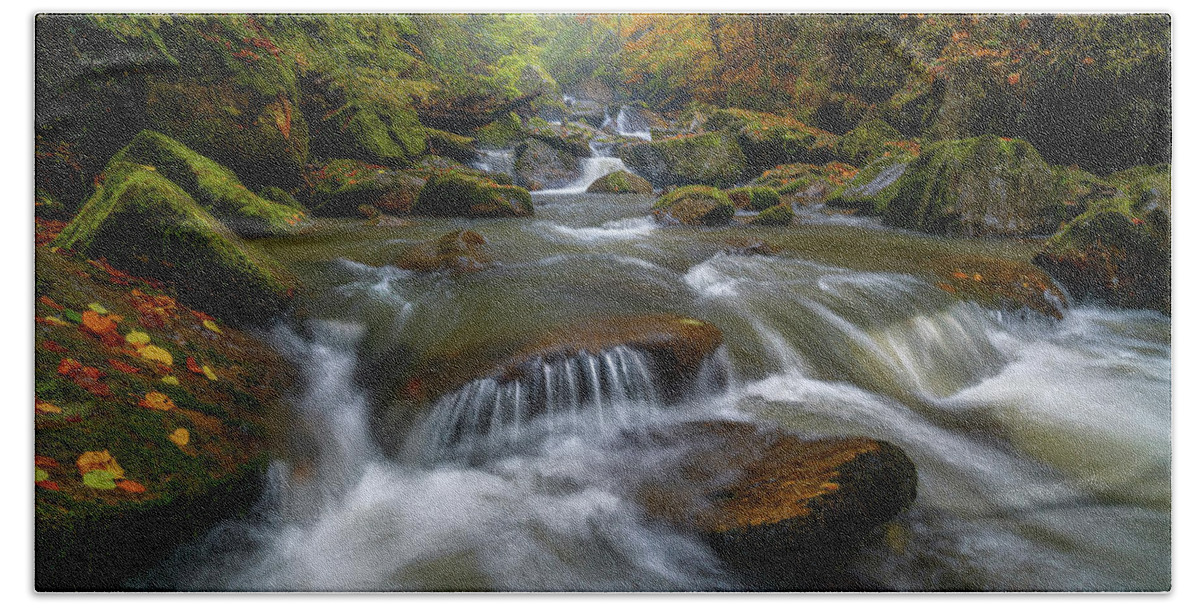 Autumn Bath Towel featuring the photograph The force of all nature by Cosmin Stan
