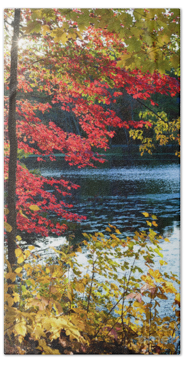 Fall Foliage Bath Towel featuring the photograph The Glory of a New England Autumn by Anita Pollak