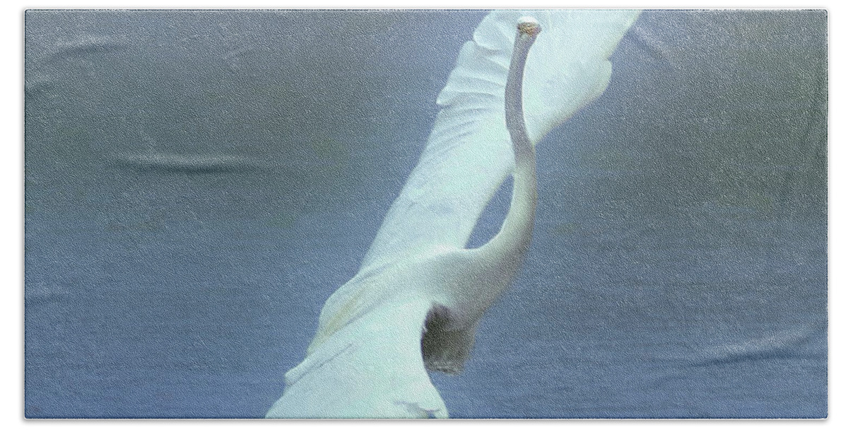 Faune Bath Towel featuring the photograph The Great dancing Egret by Carl Marceau