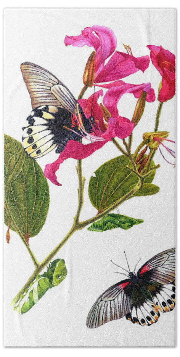 Papilio Memnon Bath Towel featuring the painting The Great Mormon Butterfly by Espero Art