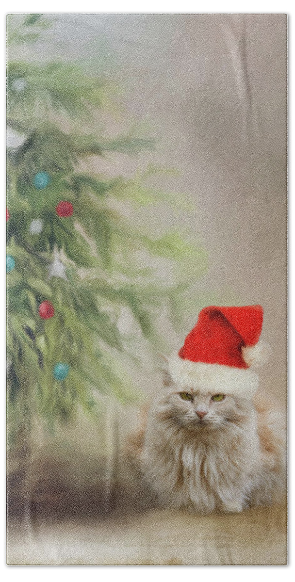 Cat Bath Towel featuring the photograph The Holiday Spirit by Jai Johnson