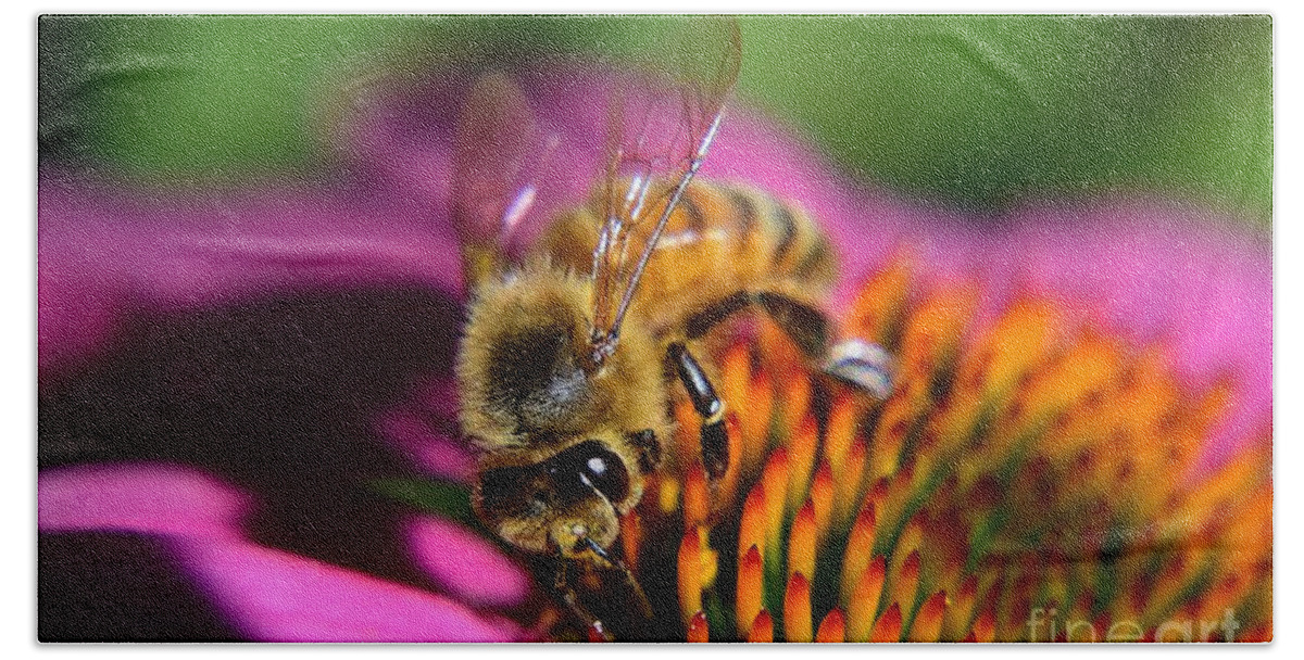 Honey Bee Hand Towel featuring the photograph The Honey Bee and The Cone by Jimmy Chuck Smith