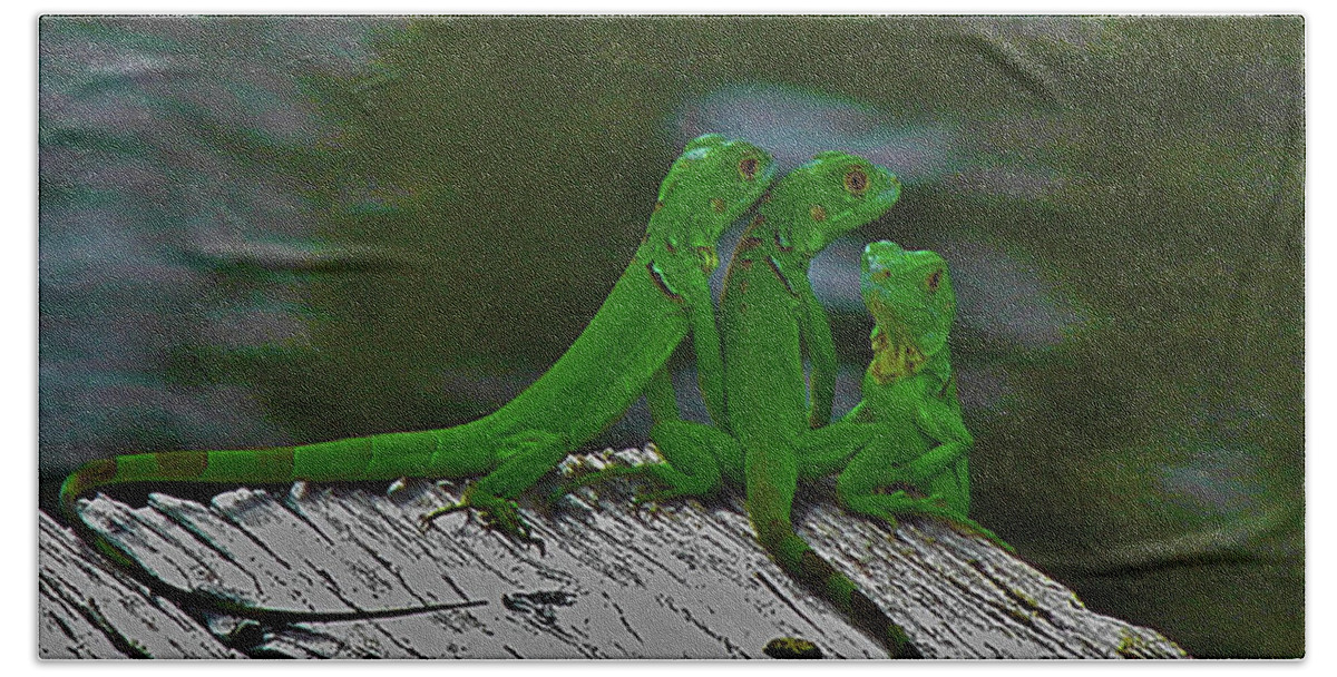 Reptile Hand Towel featuring the photograph The Iguana Children by Carl Moore
