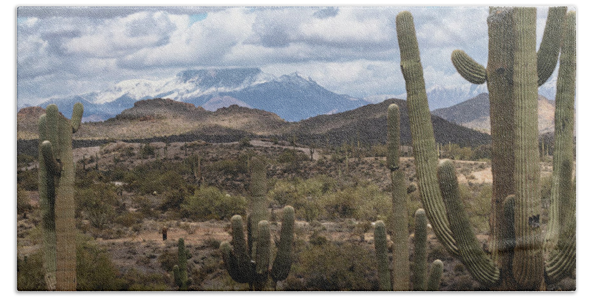 Desert Snow Bath Towel featuring the photograph The Last Winter Snow In The Sonoran by Saija Lehtonen