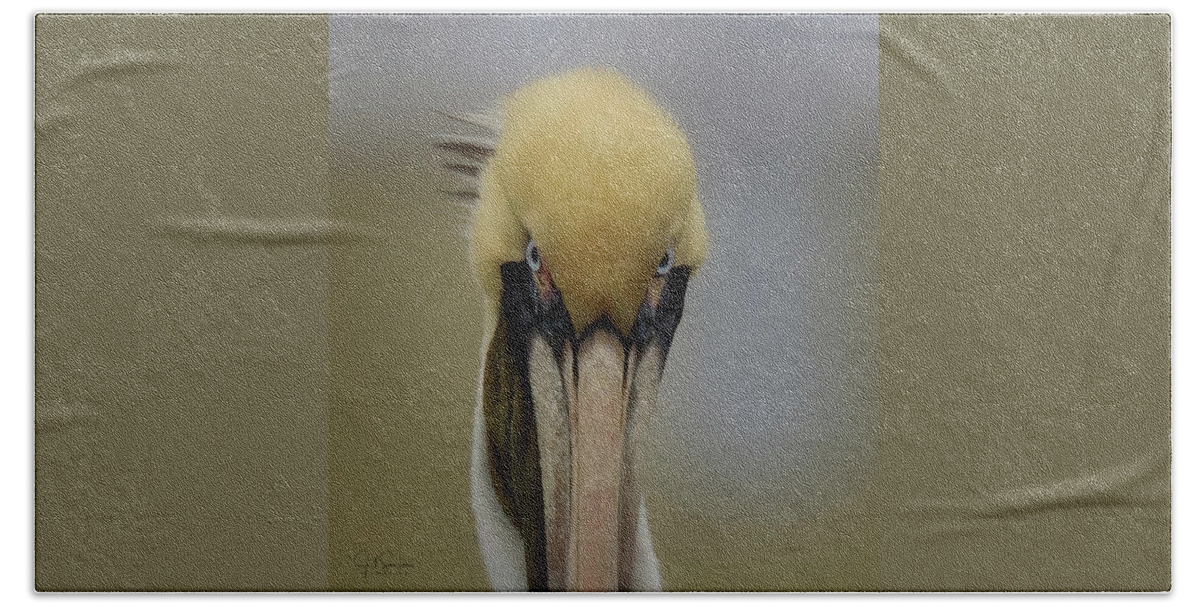 Pelican Hand Towel featuring the photograph The Look by JASawyer Imaging