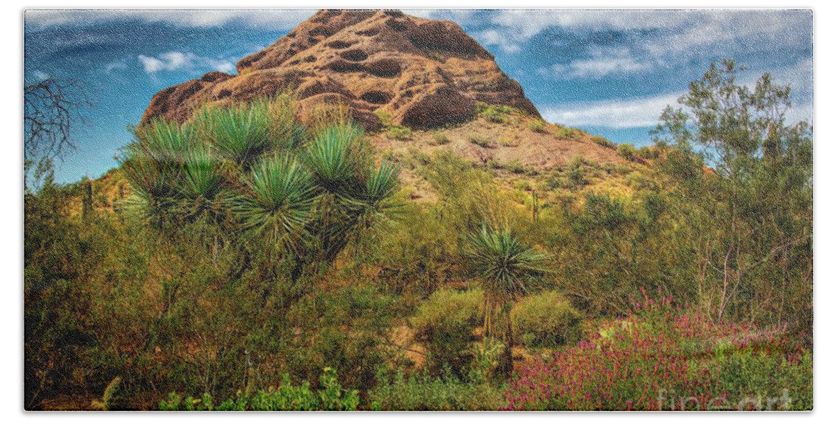 Jon Burch Hand Towel featuring the photograph The Mighty Papago by Jon Burch Photography