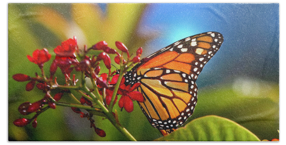 Butterfly Bath Towel featuring the photograph The Monarch Butterfly by Mark Andrew Thomas