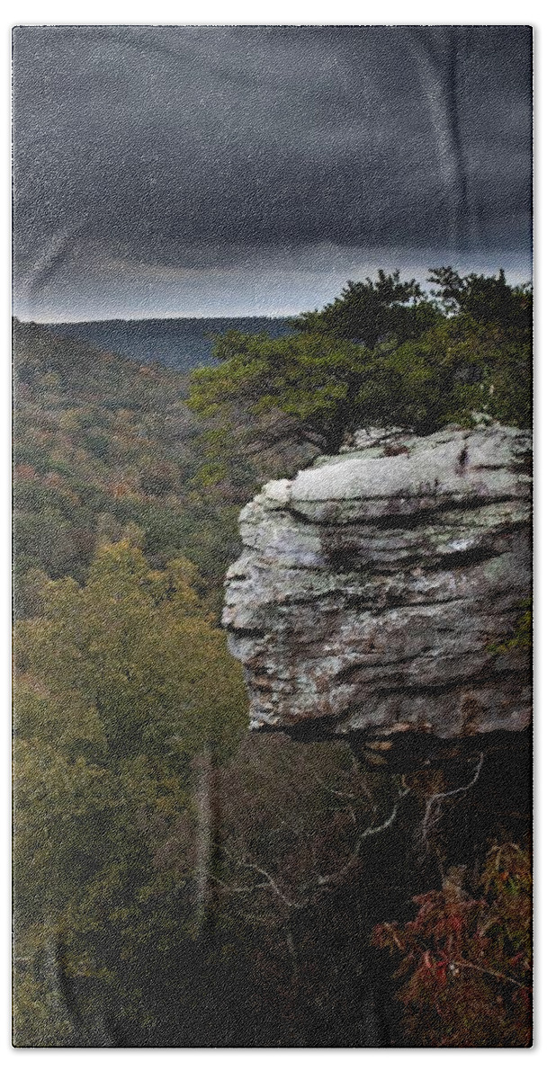 Landscape Bath Towel featuring the photograph The Overlook by Jamie Tyler