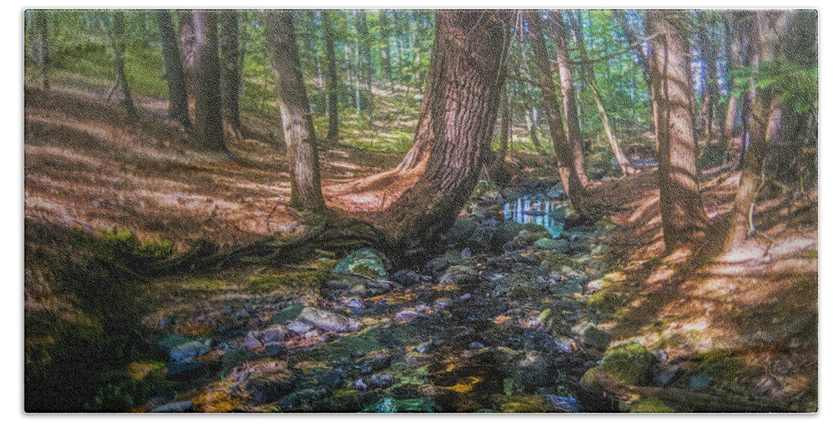 Woods Hand Towel featuring the photograph The Parrish Woods by Jerry LoFaro