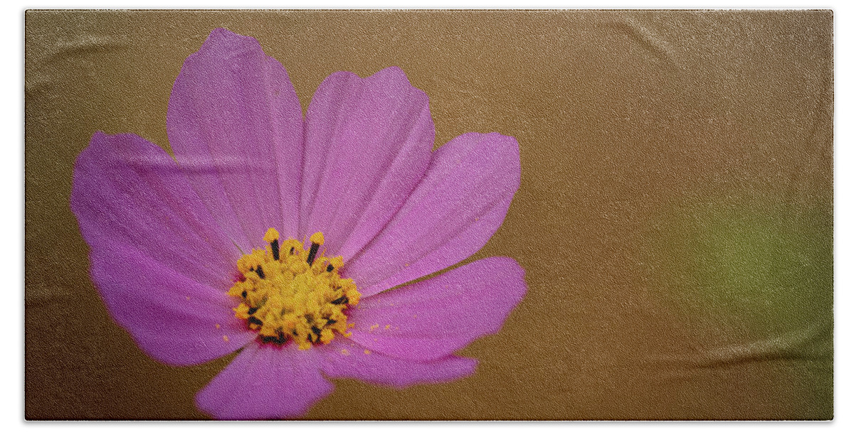 Backyard Bath Towel featuring the photograph The Pink Cosmos in Landscape by Joni Eskridge