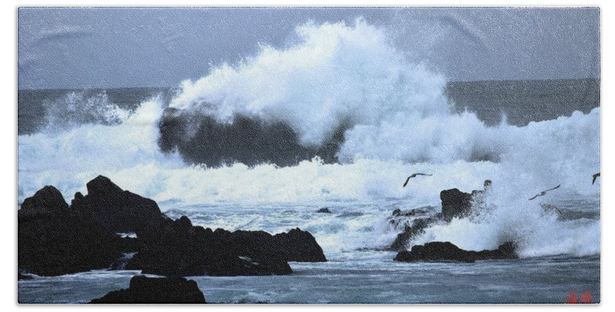 Ocean Hand Towel featuring the photograph The Raging Strom and Brave Birds by Gerald Carpenter