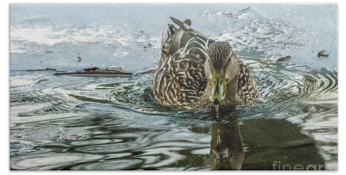 Duck Bath Towel featuring the photograph Icy Reflection by Lorraine Cosgrove