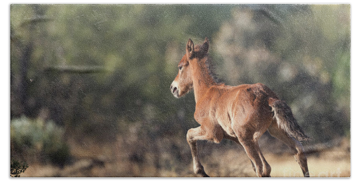 Foal Hand Towel featuring the photograph The Return by Shannon Hastings