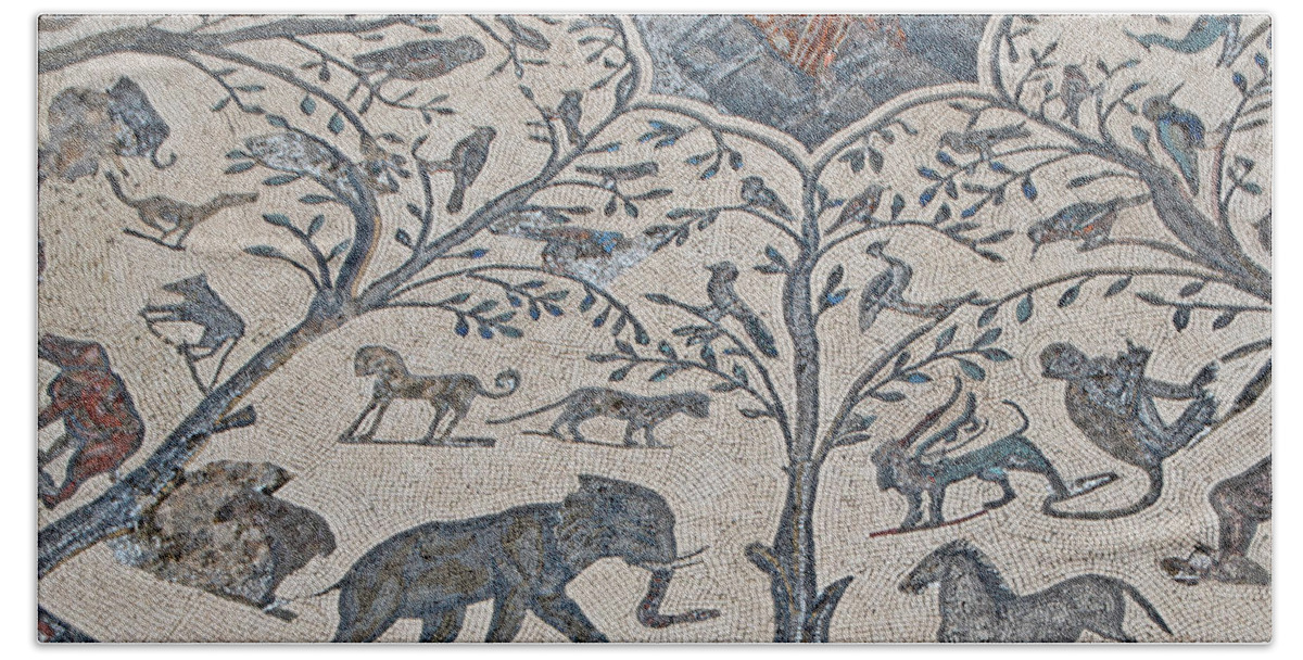 Roman Mosaics Hand Towel featuring the photograph The Roman Zoo by Edward Shmunes