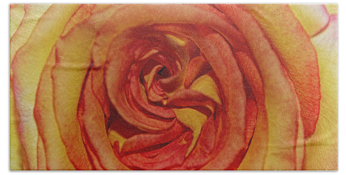  Bath Towel featuring the photograph The Rose in Pink Yellow Orange by Janice Pariza