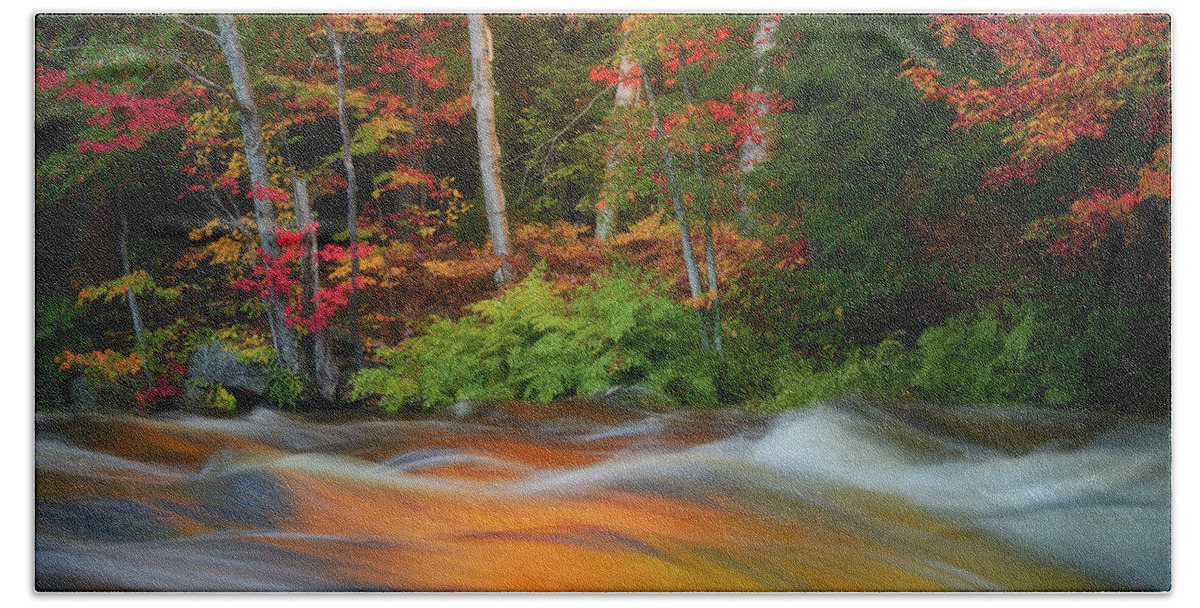 Autum Hand Towel featuring the photograph The Season's Rythem by Henry w Liu