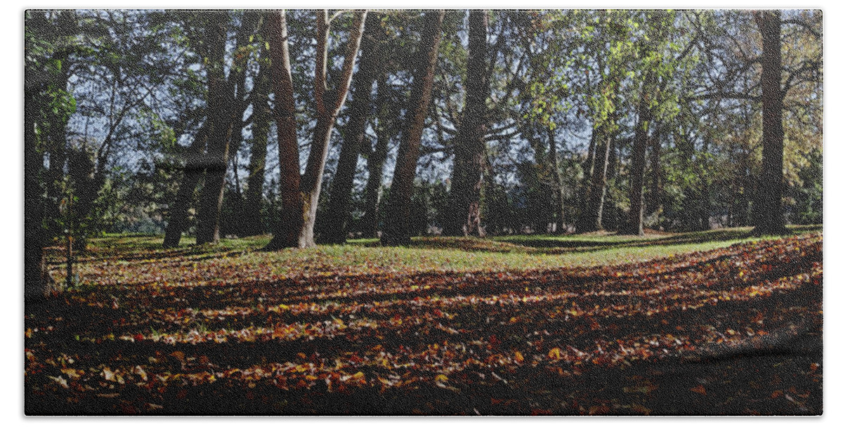 Landscape Bath Towel featuring the photograph The shadow of a caress by Karine GADRE