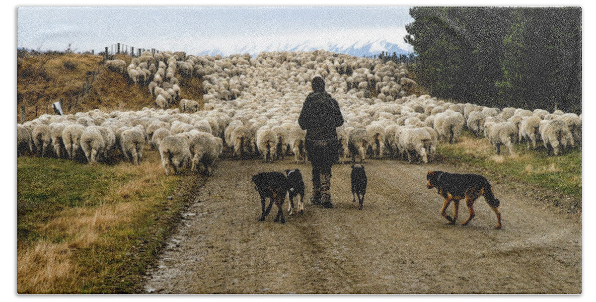 New Zealand Bath Towel featuring the photograph While Shepherds Watched - High Country Muster, South Island, New Zealand by Earth And Spirit