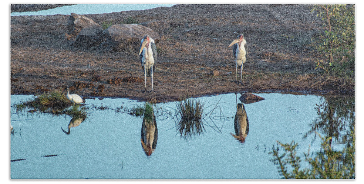 Stork Bath Towel featuring the photograph The Marabou Stork Brothers by Douglas Wielfaert