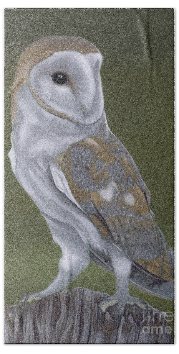 Owl Hand Towel featuring the painting The Thinker by Karie-ann Cooper