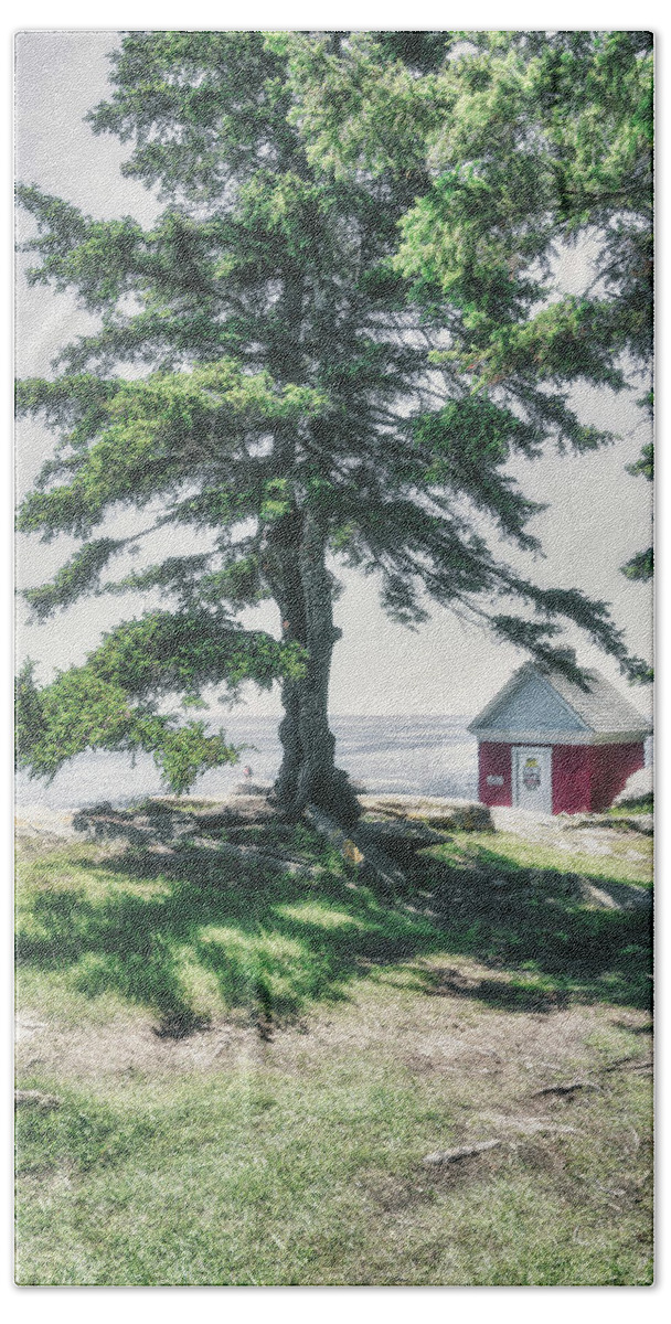 Pemaquid Point Lighthouse Park Bath Towel featuring the photograph The Tree of Pemaquid Point by Penny Polakoff