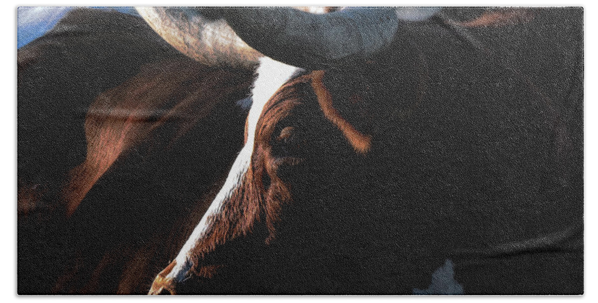 Longhorn Hand Towel featuring the photograph Thelma by Pamela Steege