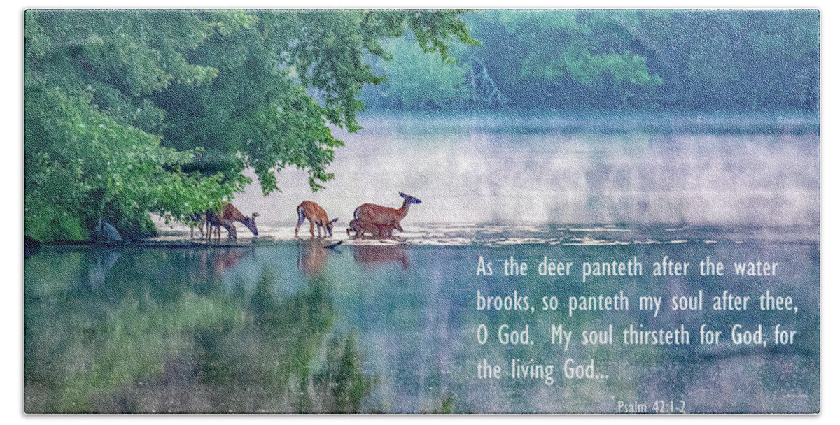 Deer Bath Towel featuring the photograph Thirsty for More Than Water by Marcy Wielfaert