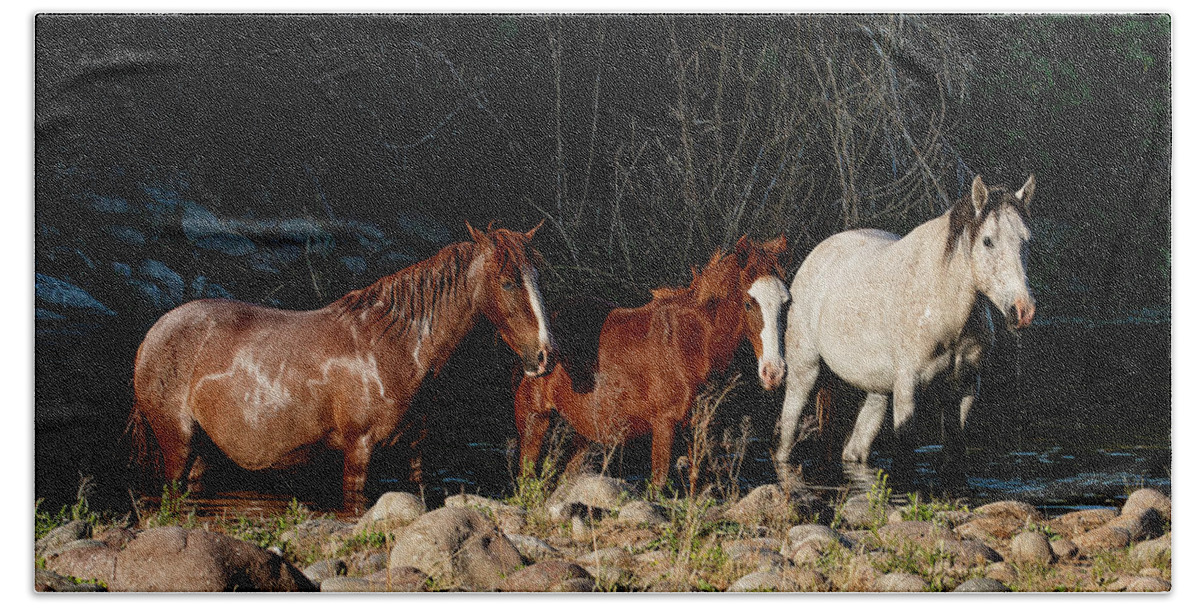 Horses Bath Towel featuring the photograph Three Kings by Carmen Kern