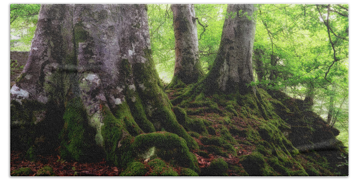 Acharn Scotland Bath Towel featuring the photograph Three Kings of Acharn - Scotland - Trees by Jason Politte