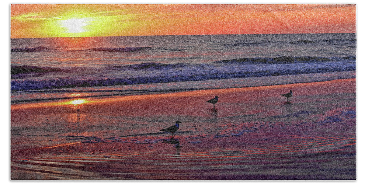 Seascape Bath Towel featuring the photograph Three Seagulls On A Sunset Beach by HH Photography of Florida